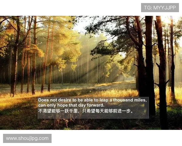 Z6人生就是博:探索游戏中的策略与人生哲学的完美结合 Z6人生就是博:探索游戏中的策略与人生哲学的完美结合