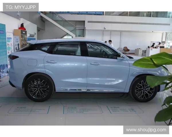 Z6用现最新版本的未来发展方向与官方更新计划，掌握第一手资讯