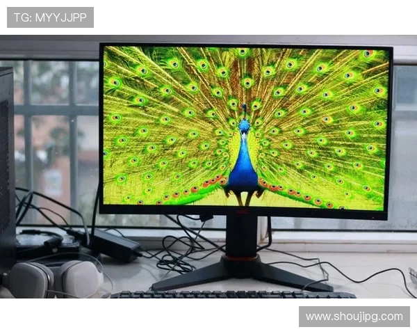 尊龙z6登录方法详解教你快速注册账号实现顺畅游戏体验